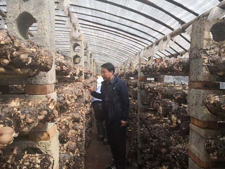 1540612918132847.jpg 5.jpg