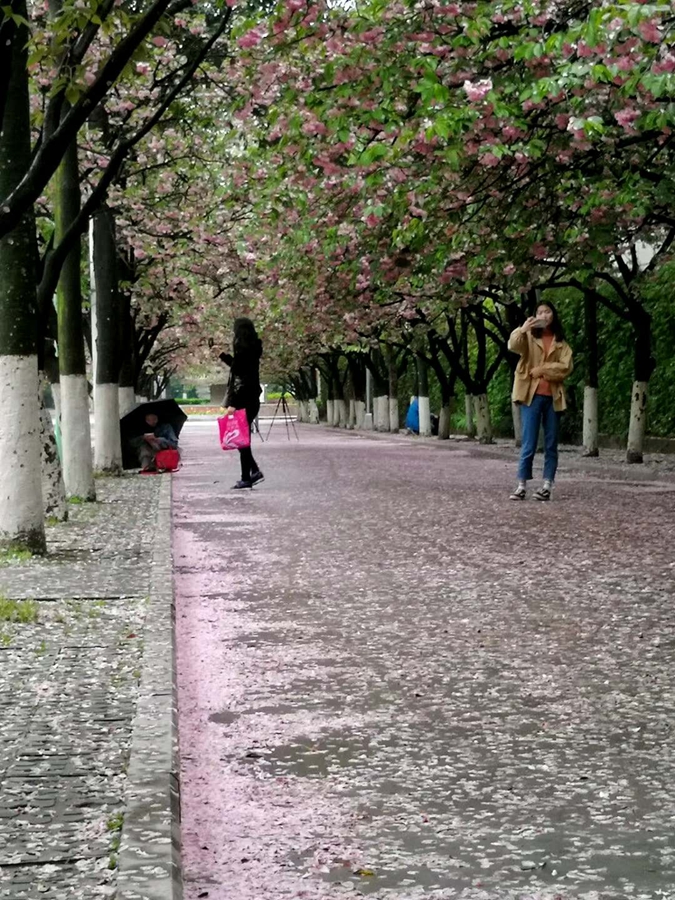 1554820480353850.jpg 07.jpg