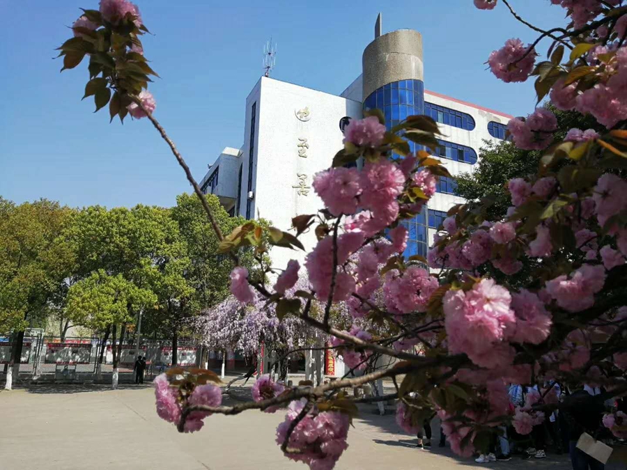 1554820525136810.jpg 06.jpg