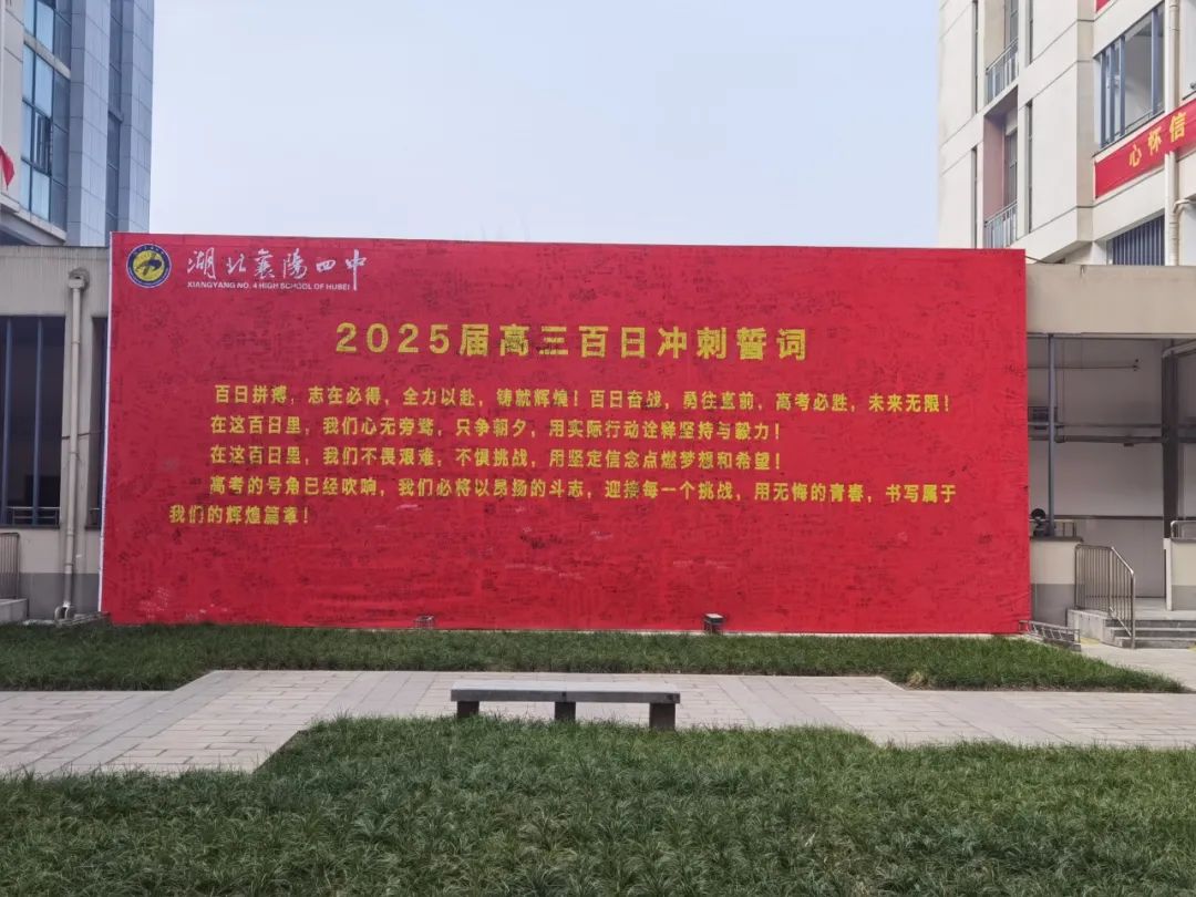 1740648646818679.jpg 1740648646818679.jpg